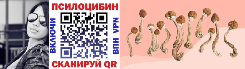 Псилоцибиновые грибы Magic Shrooms Белозерск